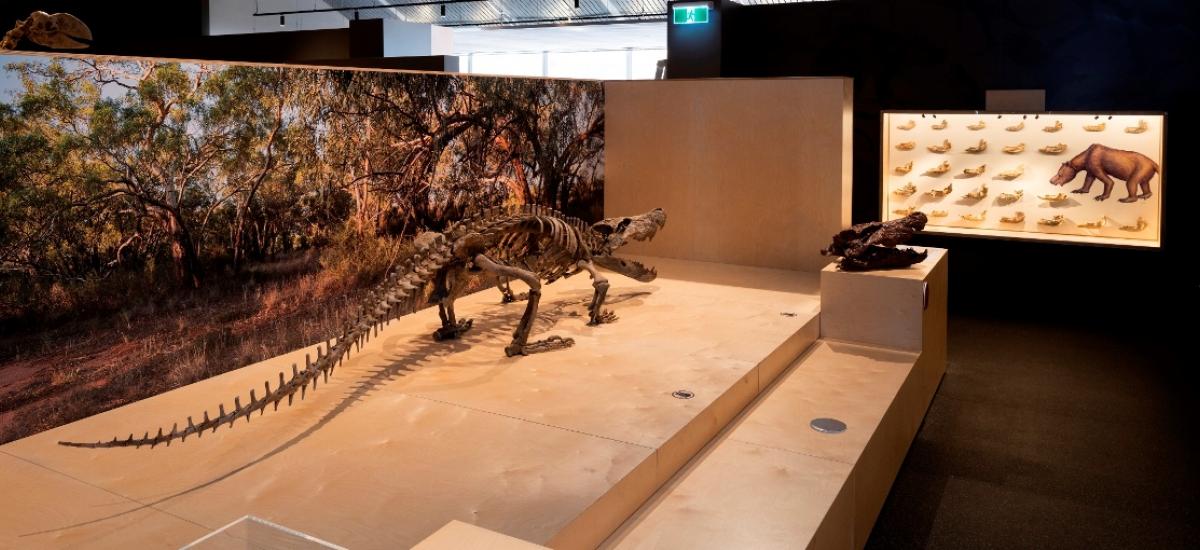 MAGNT Megafauna Central, Museum Fitout Australia