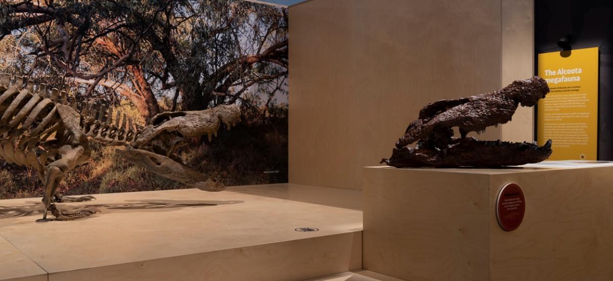 MAGNT Megafauna Central, Museum Fitout Australia