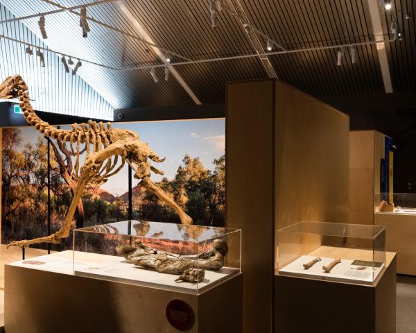 MAGNT Megafauna Central, Museum Fitout Australia