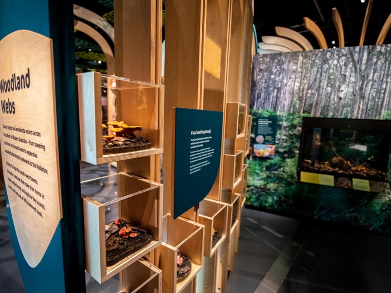 Custom Showcase, Western Australian Museum Boola Bardip – Innovations Gallery